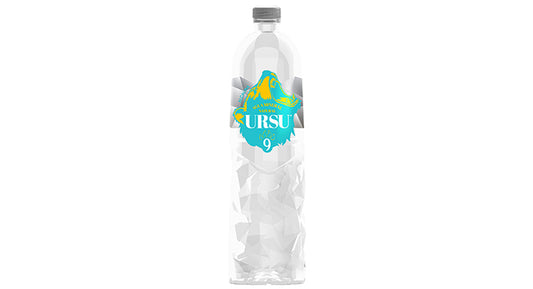 Ursu stilles Mineralwasser 0.5l kaufen (2130)